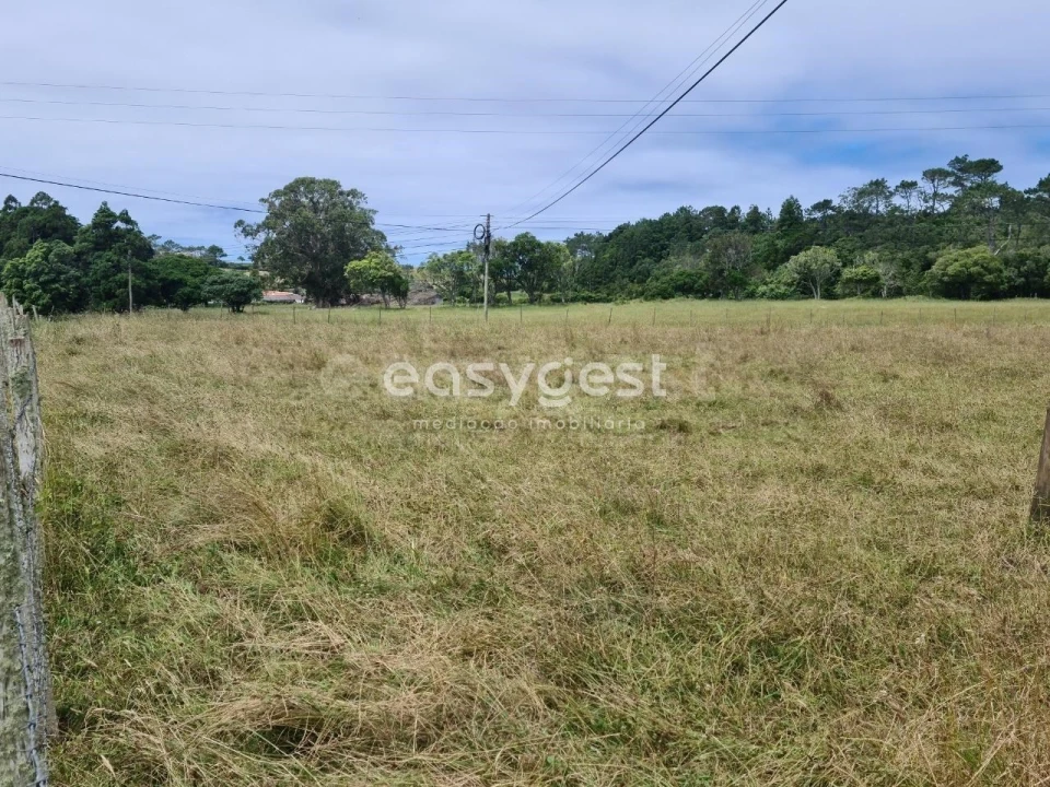Terreno para Venda em São Pedro Foto 19