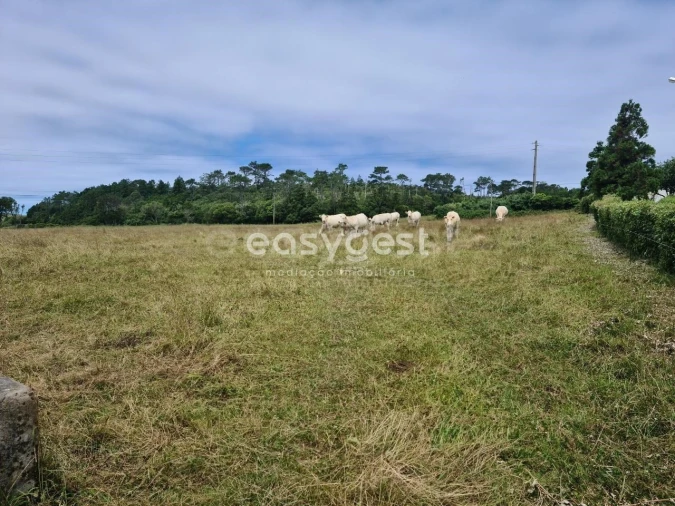 Terreno para Venda em São Pedro Foto 3