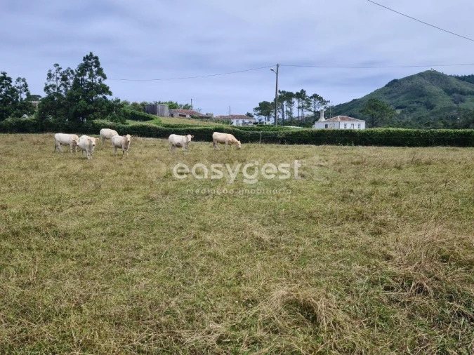 Terreno para Venda em São Pedro Foto 8