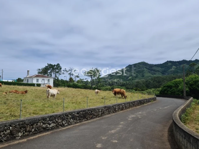 Terreno para Venda em São Pedro Foto 10