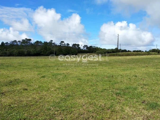 Terreno para Venda em São Pedro Foto 12