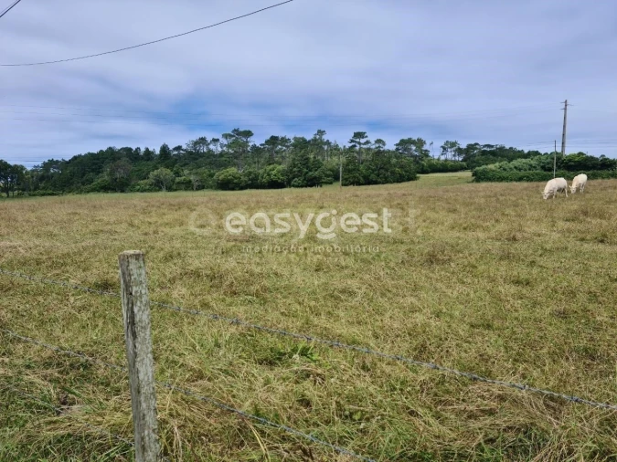 Terreno para Venda em São Pedro Foto 18