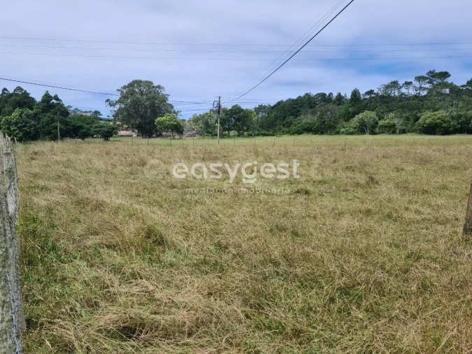 Terreno para Venda em São Pedro Foto 19