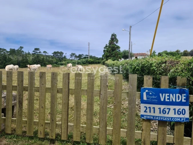 Terreno para Venda em São Pedro Foto 21