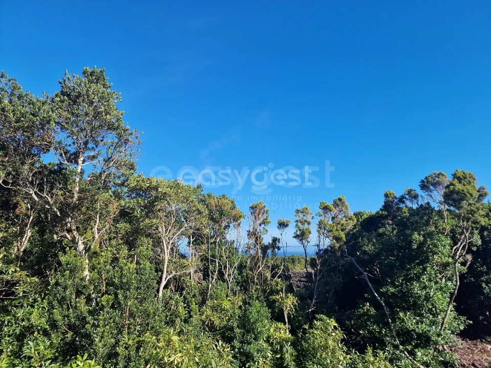 Moradia T2 para Venda em Bandeiras Foto 3