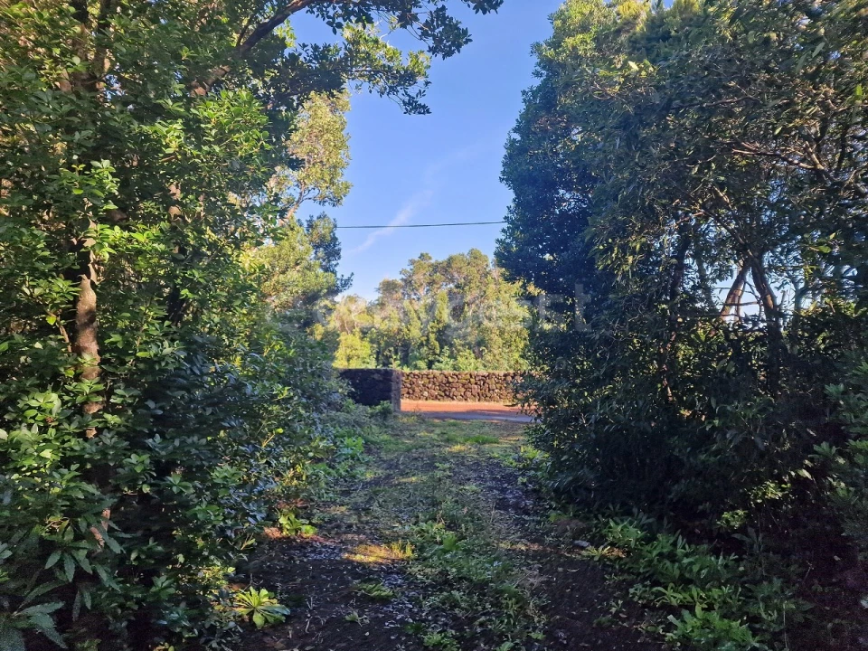 Moradia T2 para Venda em Bandeiras Foto 16