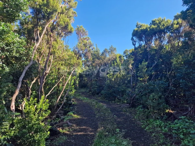 Moradia T2 para Venda em Bandeiras Foto 4