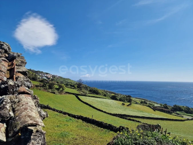 Moradia T2 para Venda em Lajes do Pico Foto 14