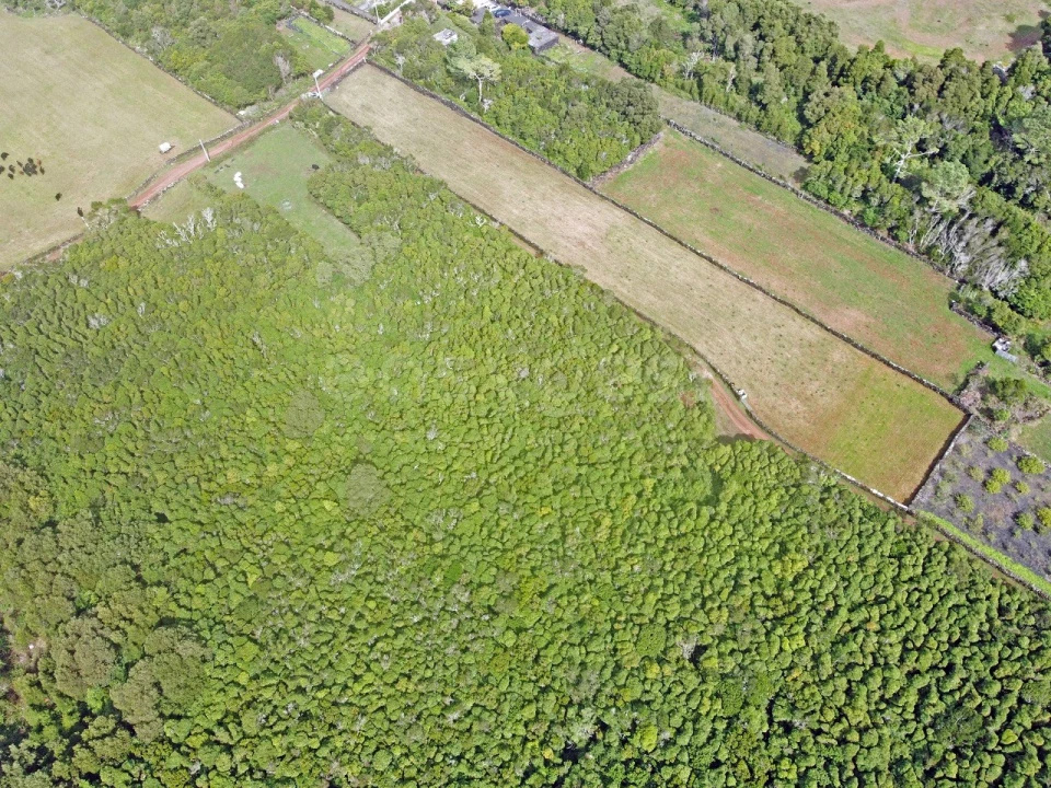 Terreno para Venda em Bandeiras Foto 9