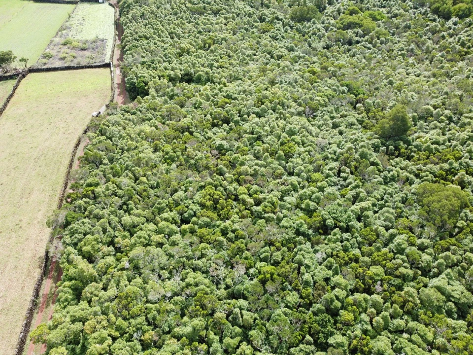 Terreno para Venda em Bandeiras Foto 13