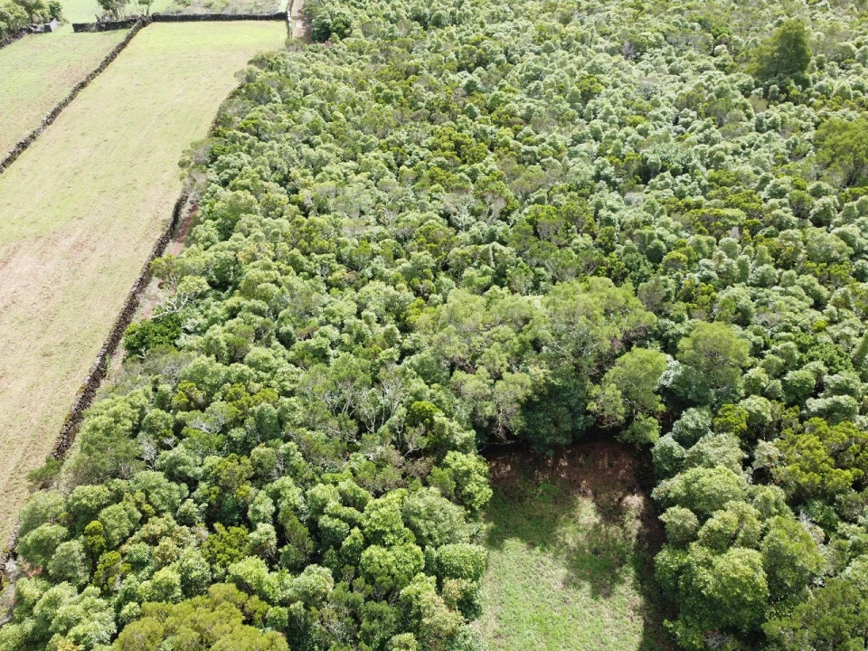 Terreno para Venda em Bandeiras Foto 14