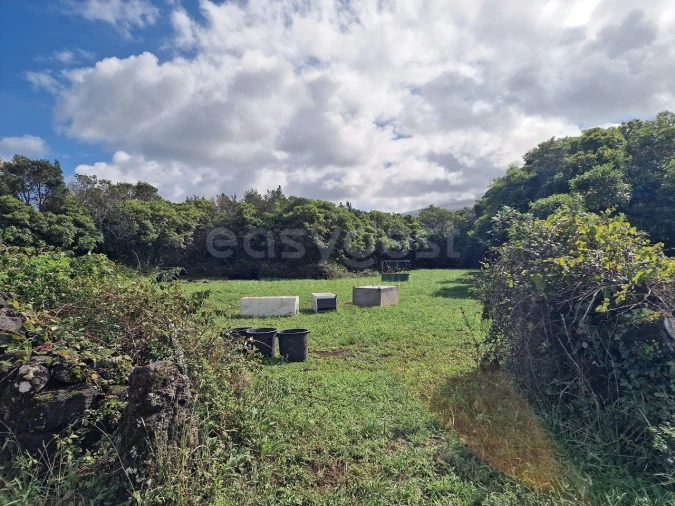Terreno para Venda em Bandeiras