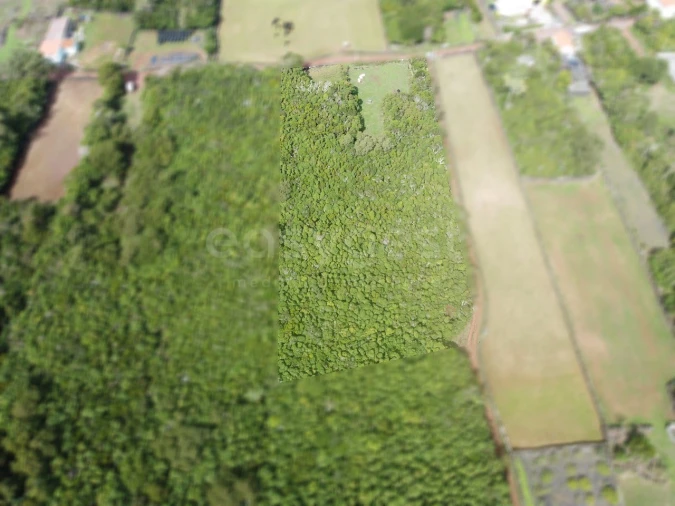 Terreno para Venda em Bandeiras Foto 4