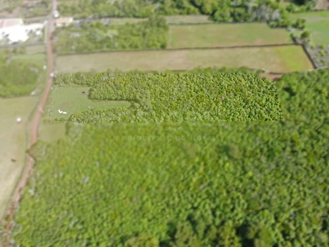 Terreno para Venda em Bandeiras Foto 5
