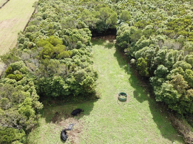 Terreno para Venda em Bandeiras Foto 10