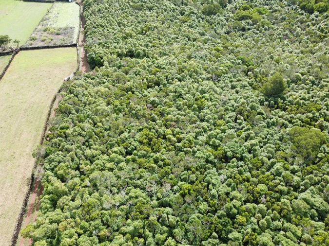 Terreno para Venda em Bandeiras Foto 12