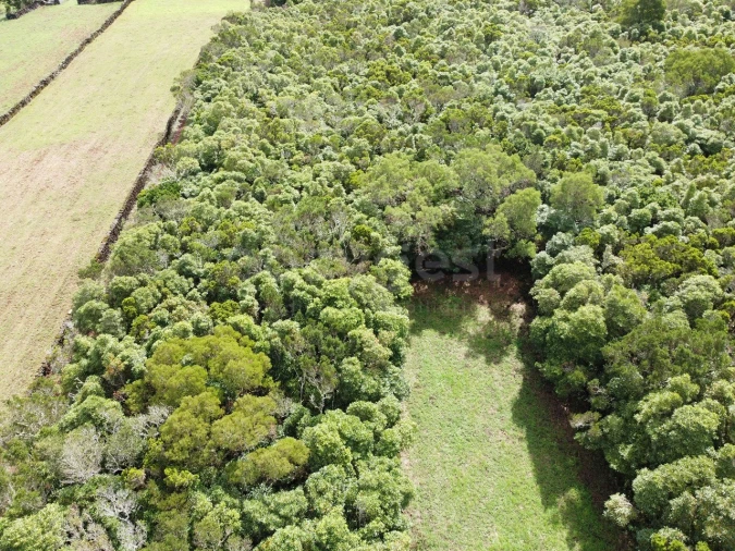 Terreno para Venda em Bandeiras Foto 15