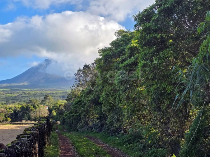 Terreno para Venda em Bandeiras Foto 3