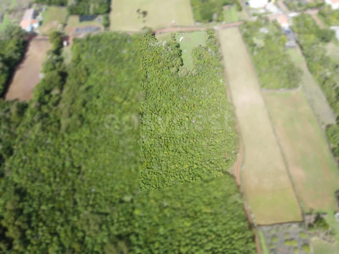 Terreno para Venda em Bandeiras Foto 4