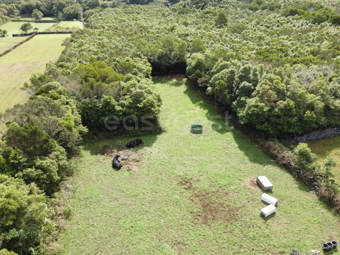 Terreno para Venda em Bandeiras Foto 10