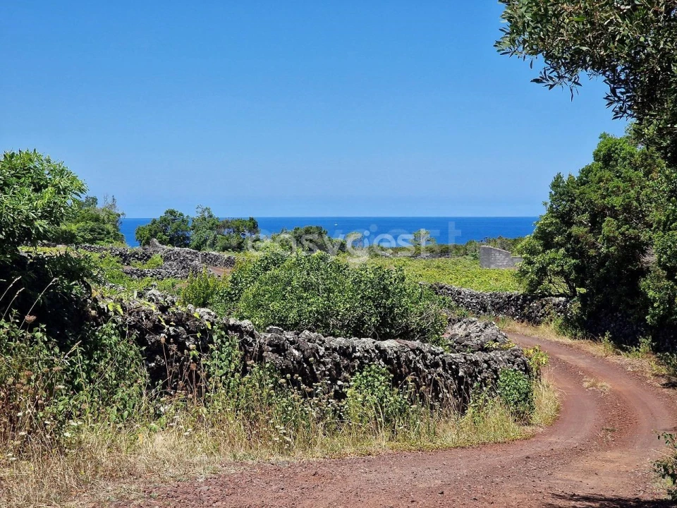 Terreno para Venda em Madalena Foto 7