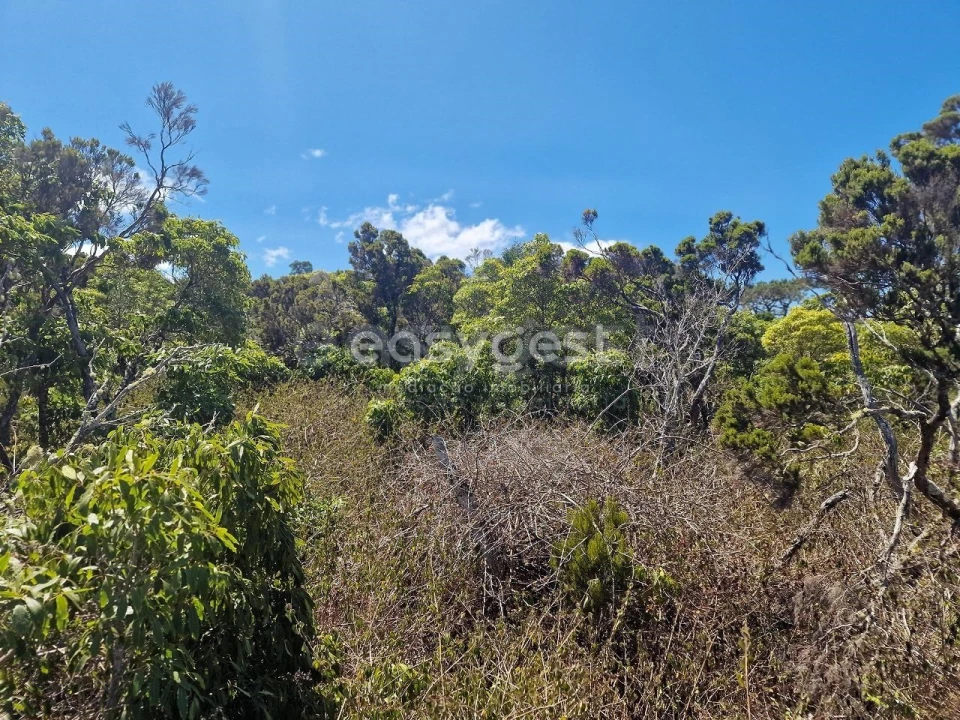 Terreno para Venda em Madalena Foto 12