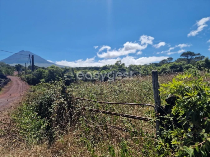 Terreno para Venda em Madalena