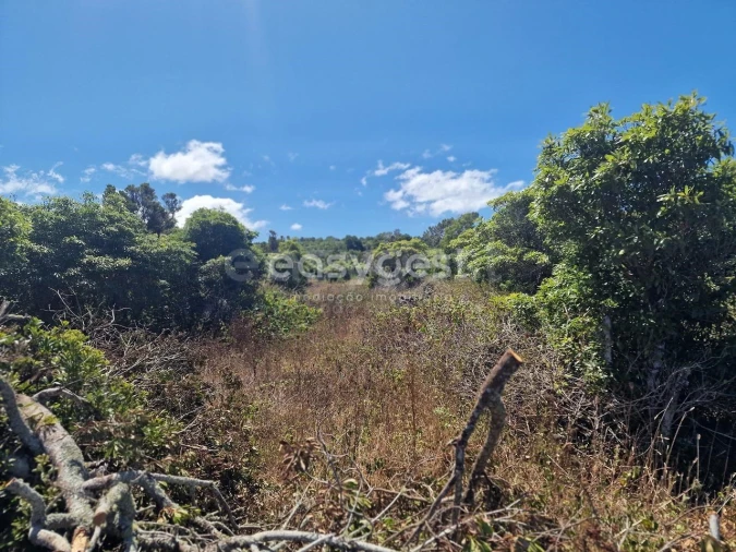 Terreno para Venda em Madalena Foto 4