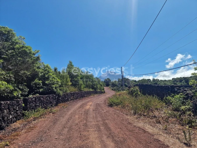 Terreno para Venda em Madalena Foto 6