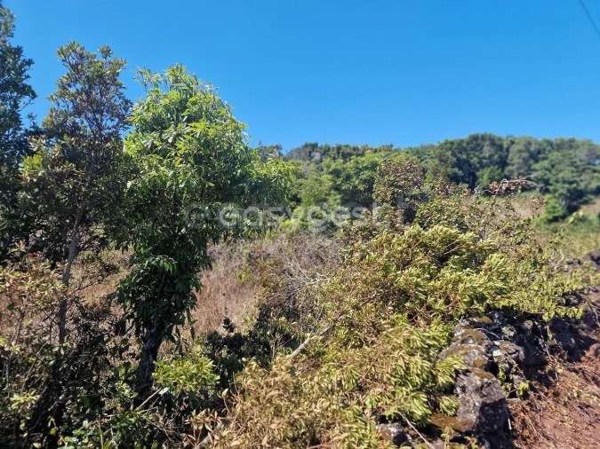 Terreno para Venda em Madalena Foto 9