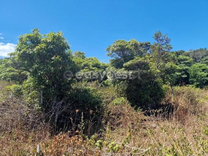 Terreno para Venda em Madalena Foto 10