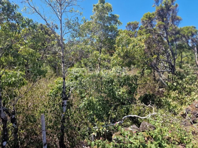 Terreno para Venda em Madalena Foto 11
