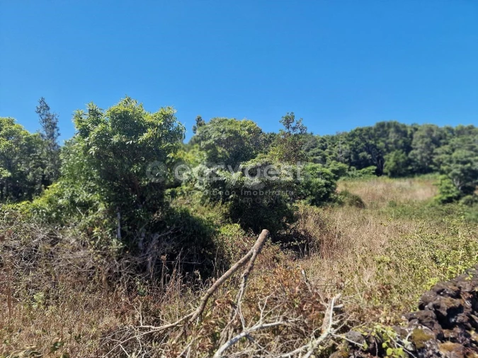 Terreno para Venda em Madalena Foto 15