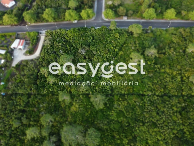 Terreno para Venda em Santo Antonio Foto 3