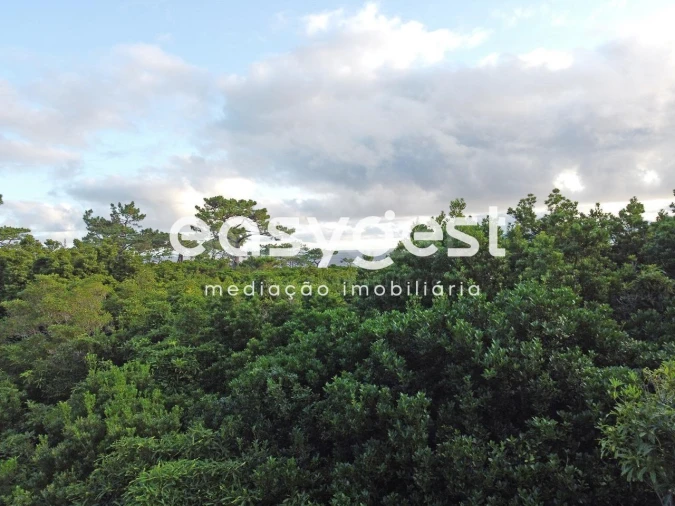 Terreno para Venda em Santo Antonio Foto 6