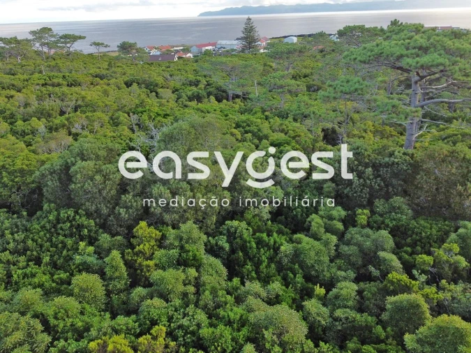 Terreno para Venda em Santo Antonio Foto 7