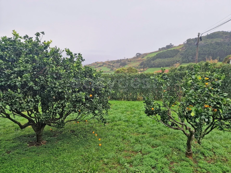 Moradia T3 para Venda em Pedro Miguel Foto 24
