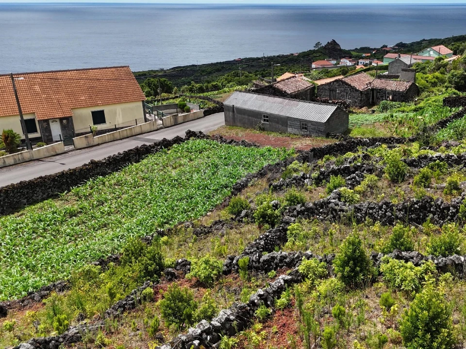 Terreno para Venda em Candelaria Foto 5