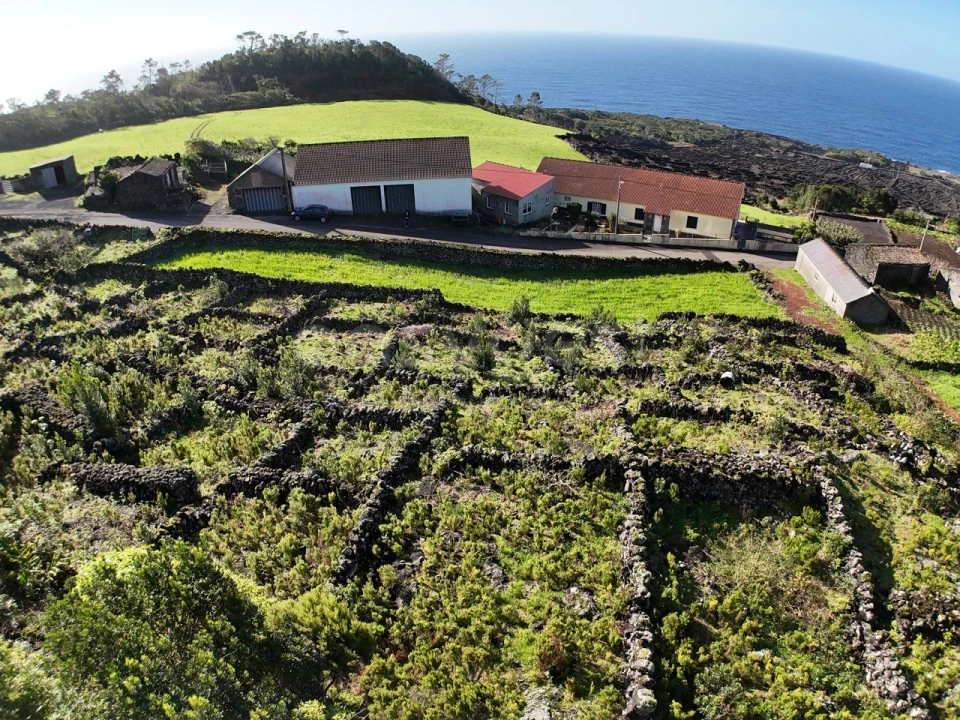 Terreno para Venda em Candelaria Foto 1