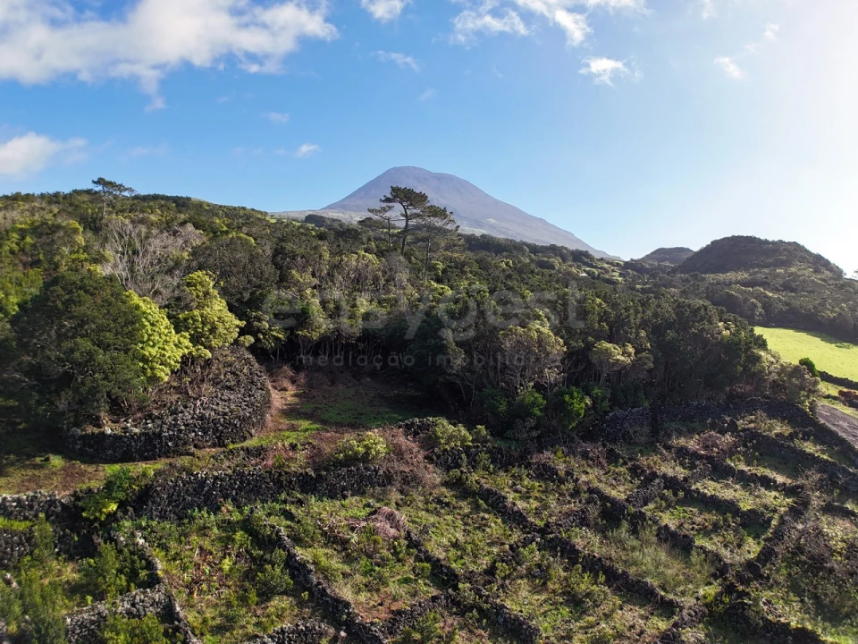 Terreno para Venda em Candelaria Foto 3