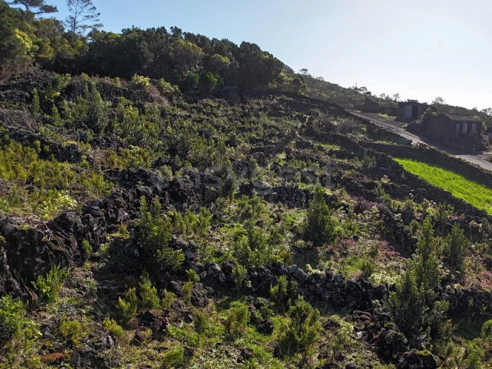 Terreno para Venda em Candelaria Foto 18