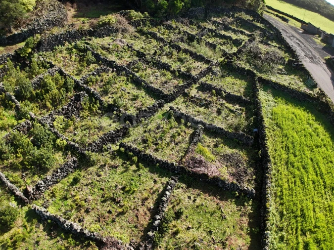 Terreno para Venda em Candelaria Foto 4