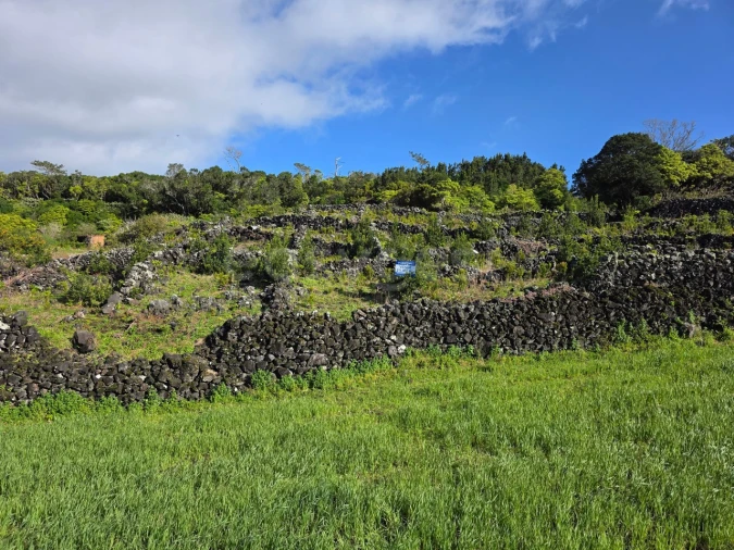Terreno para Venda em Candelaria Foto 19