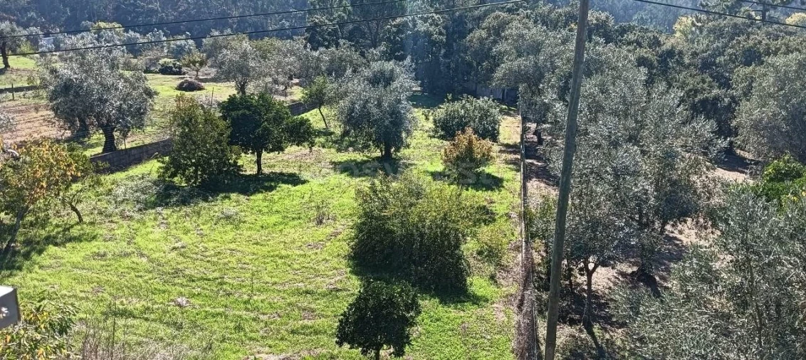 Moradia T5 para Venda em Pombal Foto 31