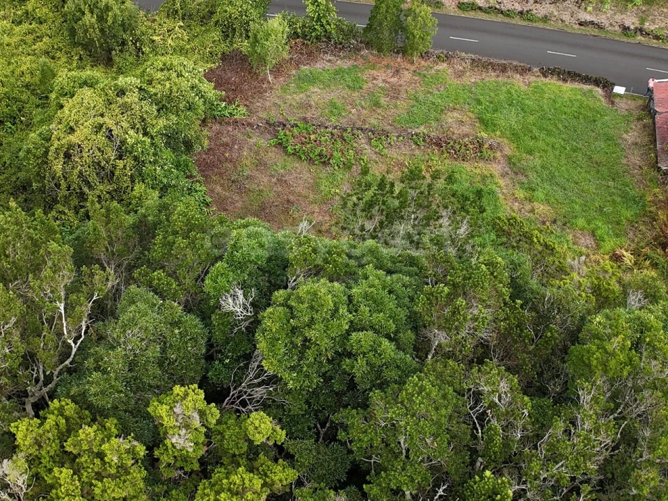 Terreno para Venda em Bandeiras Foto 6