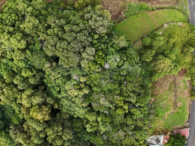 Terreno para Venda em Bandeiras Foto 8
