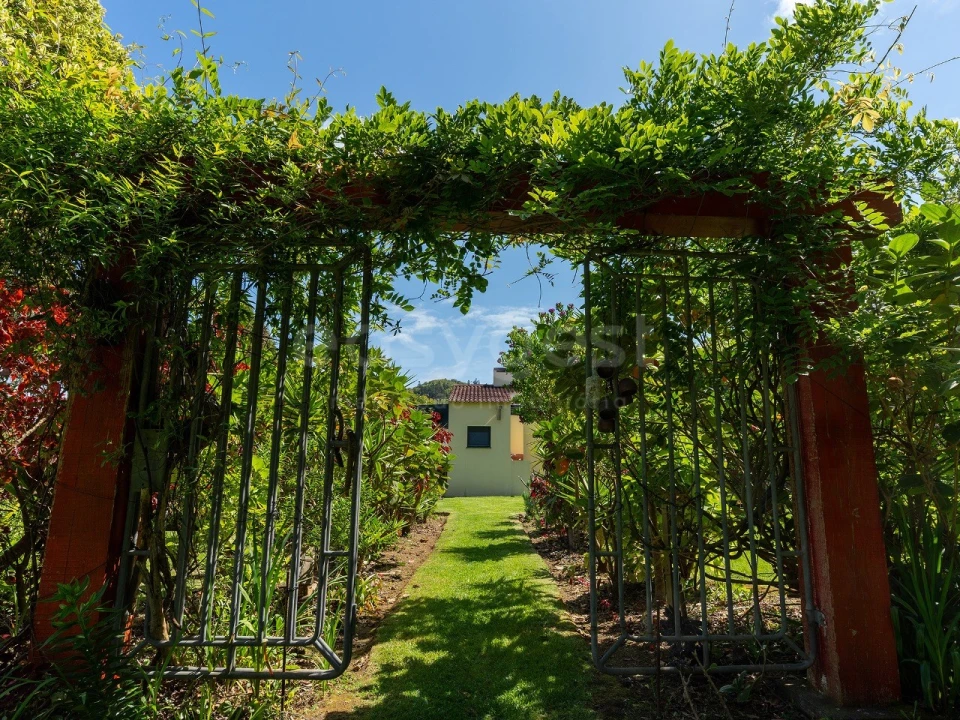 Moradia T3 para Venda em Pedro Miguel Foto 34