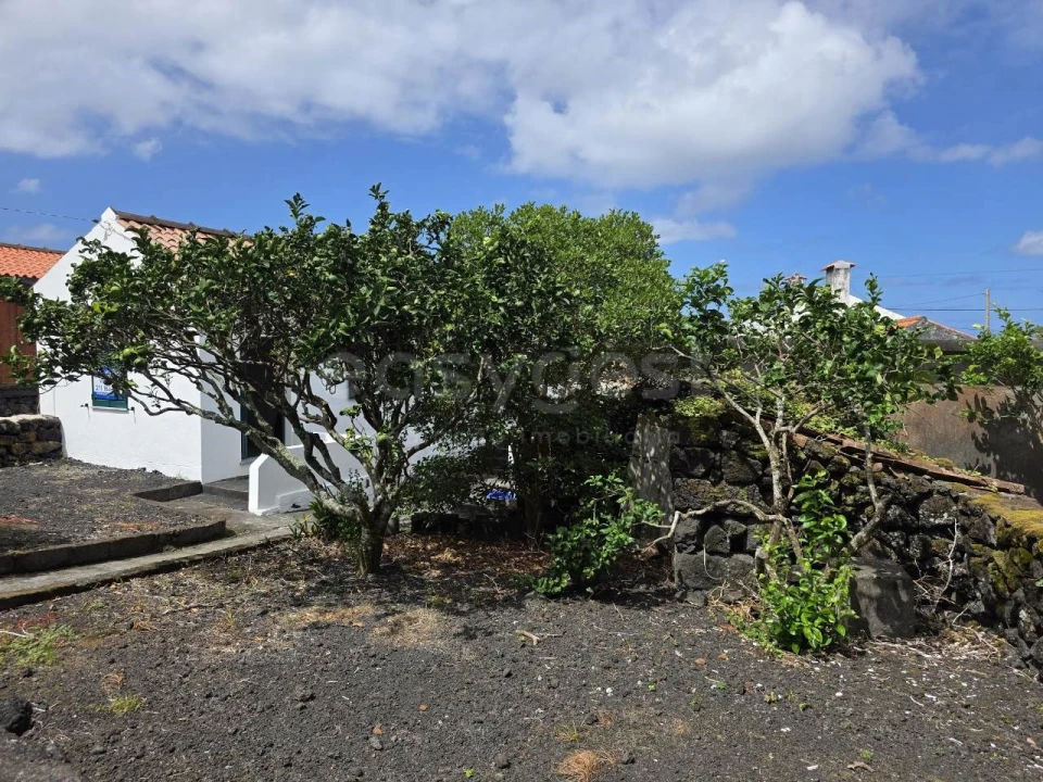 Moradia T2 para Venda em Santa Luzia Foto 5