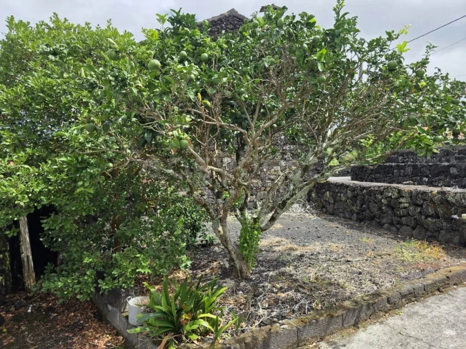 Moradia T2 para Venda em Santa Luzia Foto 17