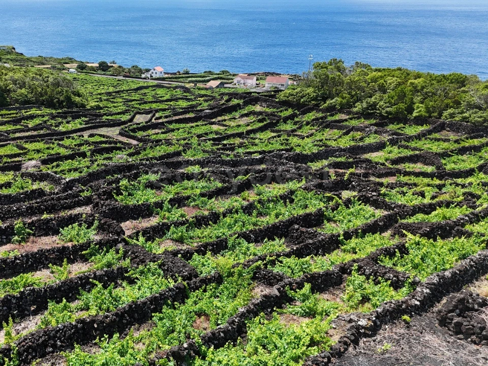 Terreno para Venda em São Mateus Foto 4